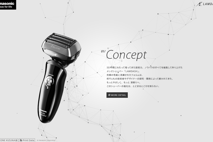 LAMDASH DNA website preview